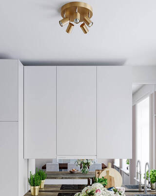 Correct takspot 5-låg guld